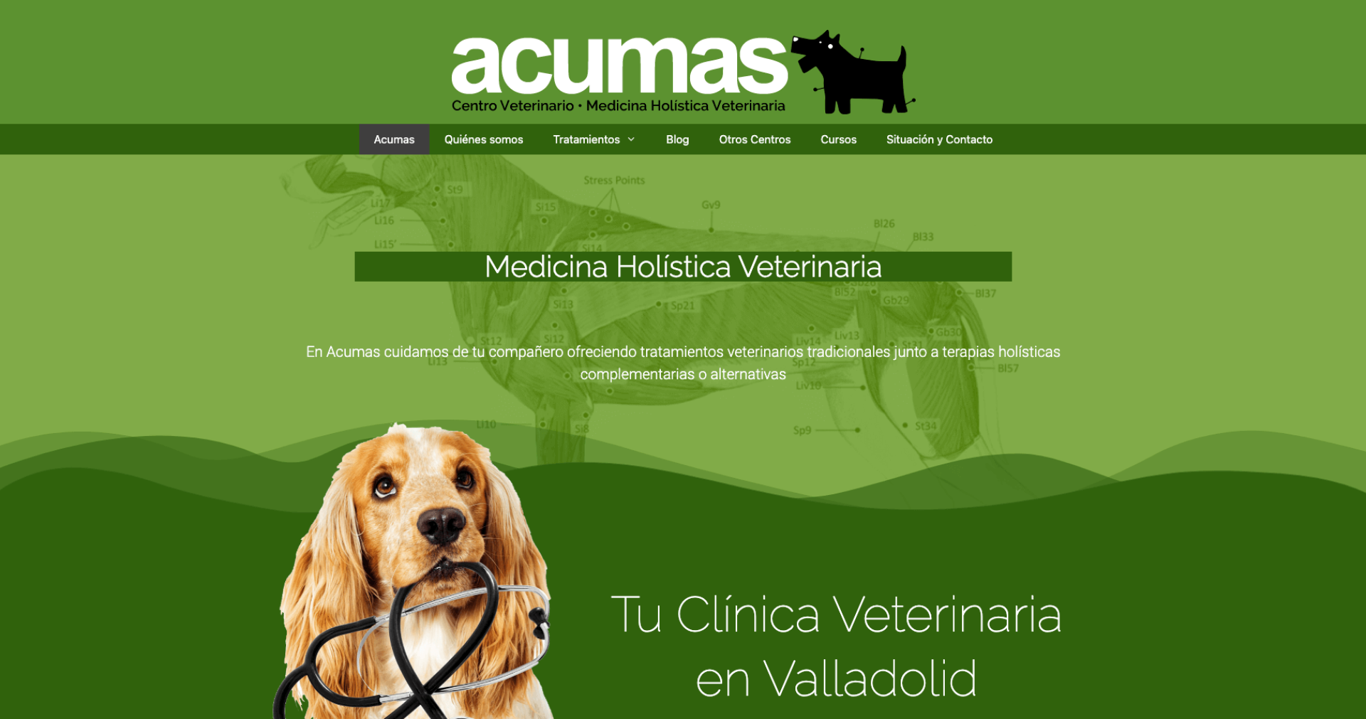 acumas_1